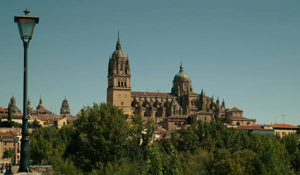 Salamanca Cathedra