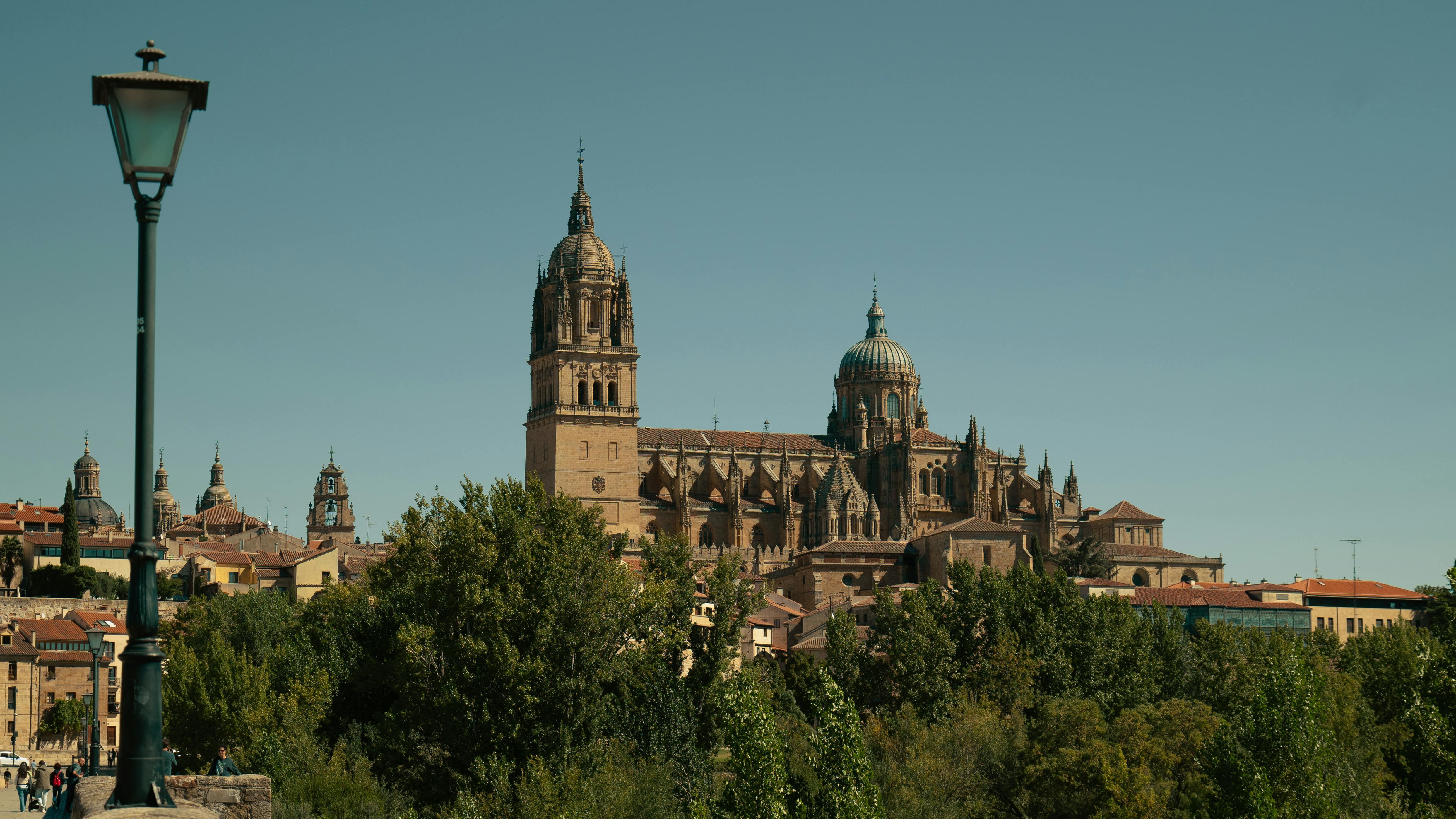 Salamanca Cathedra